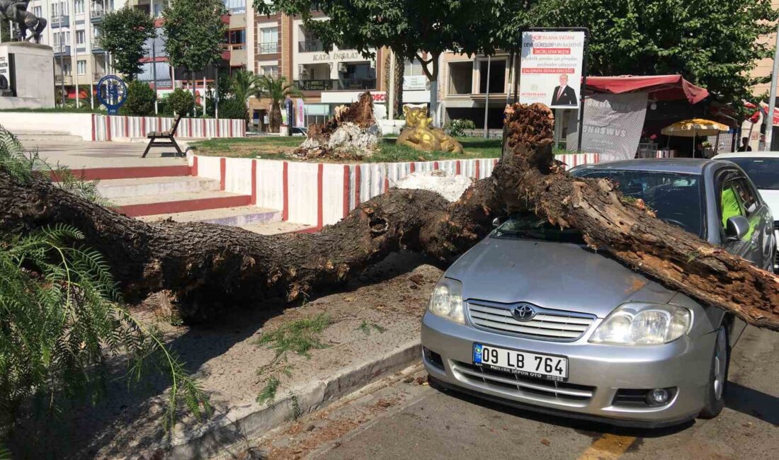 Aydın’ın İncirliova ilçesinde bulunan