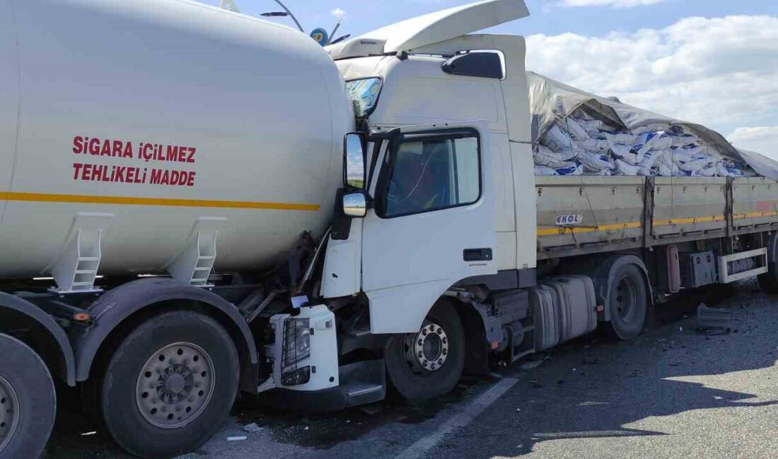 Manisa'nın Alaşehir ilçesinde kömür