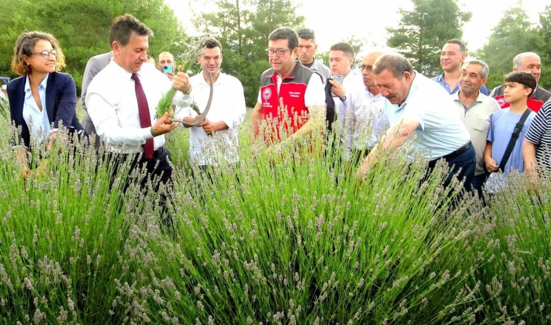 Muğla Büyükşehir Belediyesi tarafından