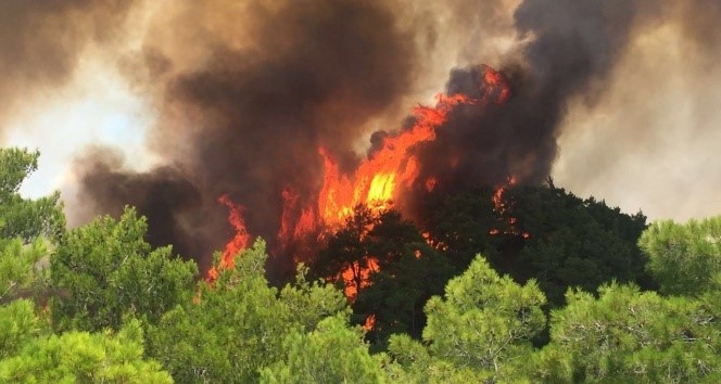 Muğla Valisi Dr. İdris