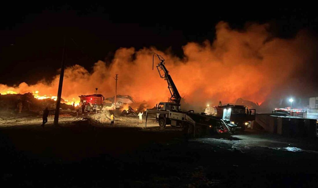 Muğla’da bal paketleme tesisinde yangınla mücadele devam ediyor