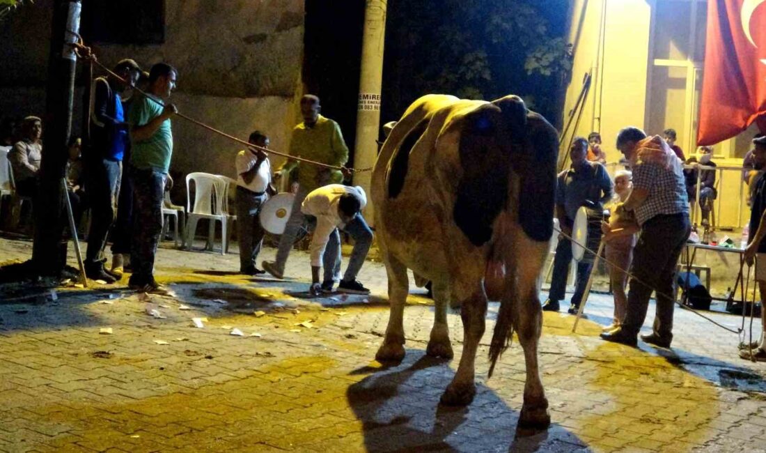 MUĞLA’NIN MENTEŞE İLÇESİNE BAĞLI