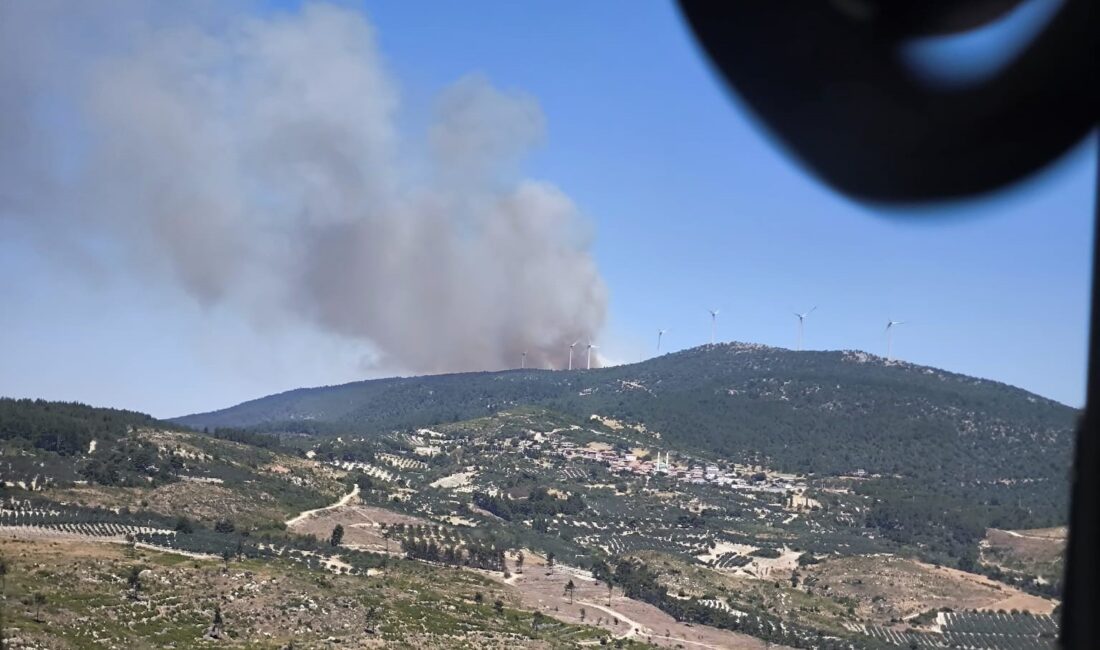 Manisa’nın Soma ilçesinde ormanlık