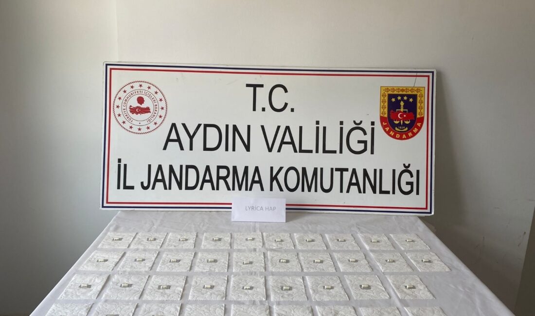 AYDIN'IN İNCİRLİOVA İLÇESİNDE JANDARMA