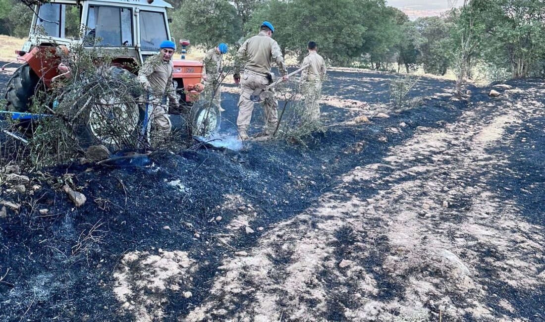 UŞAK MERKEZDE VE BANAZ