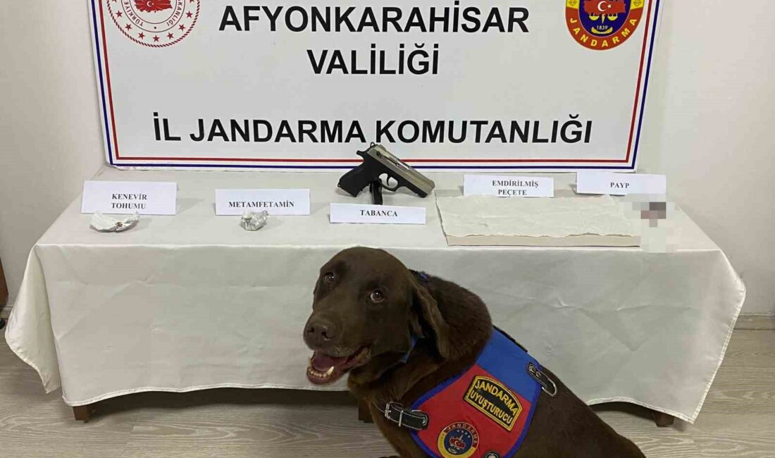 Afyonkarahisar’da jandarma tarafından uyuşturucu