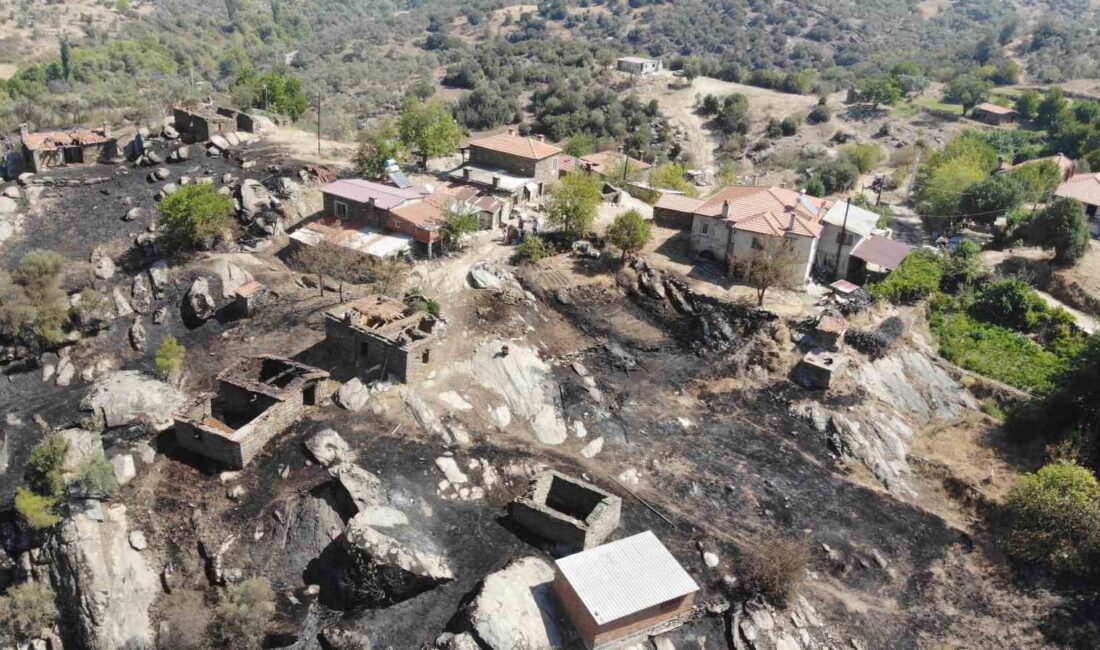 Muğla'nın Yatağan ilçesinde çıkan