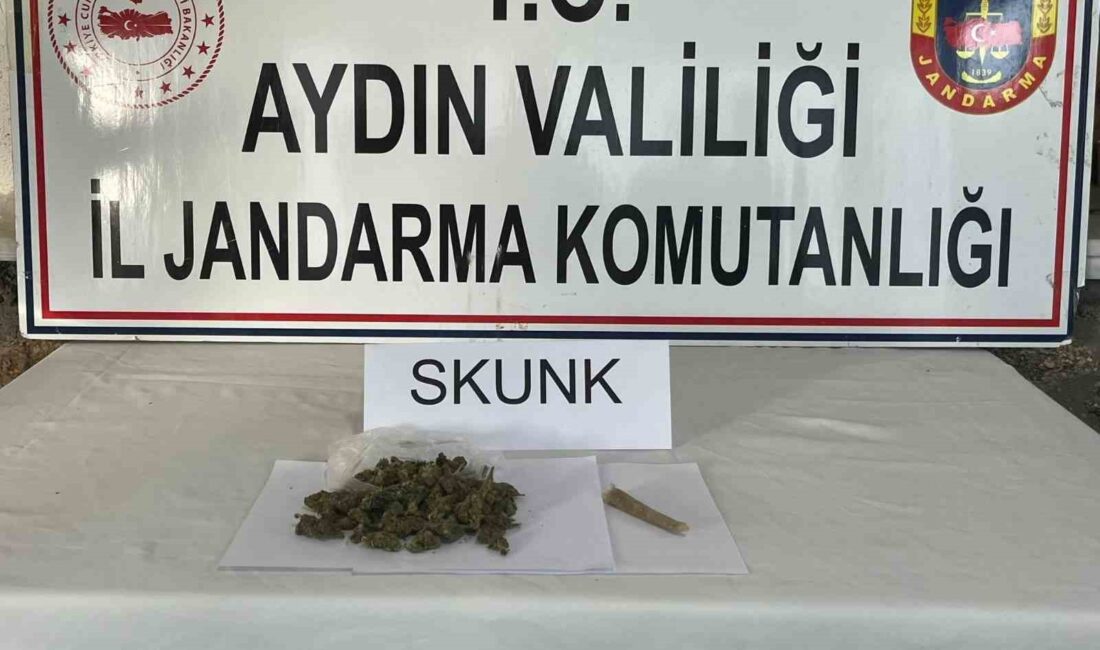 Aydın’da jandarma ekipleri tarafından