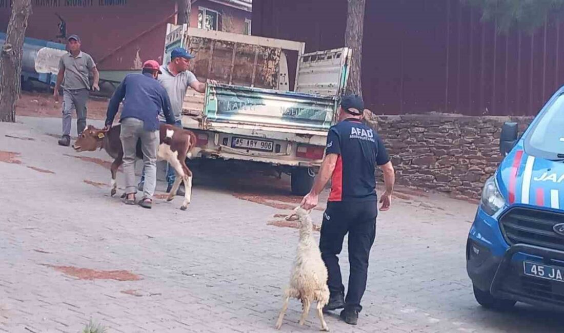 Manisa'nın Gördes ilçesinde başlayan