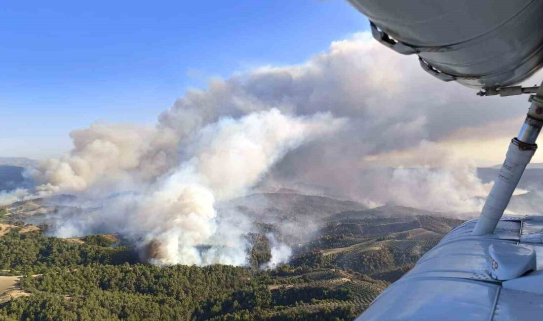 Manisa’nın Gördes ilçesinde dün