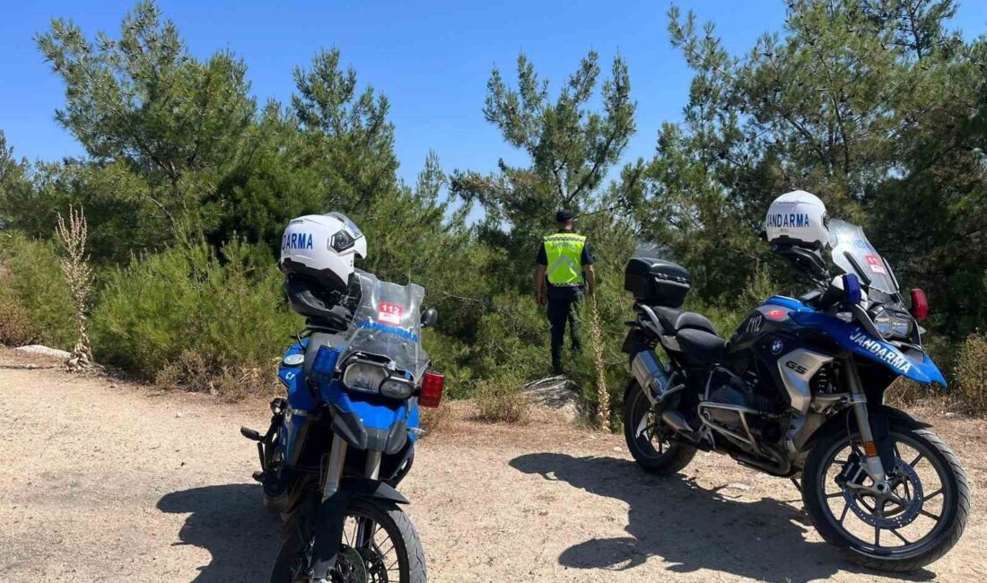 Aydın’ın Germencik ilçesinde jandarma