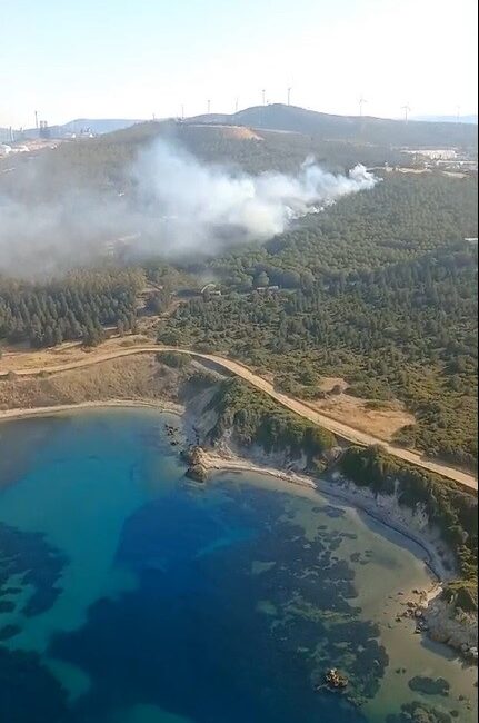 İzmir’in Aliağa ilçesinde ormanlık