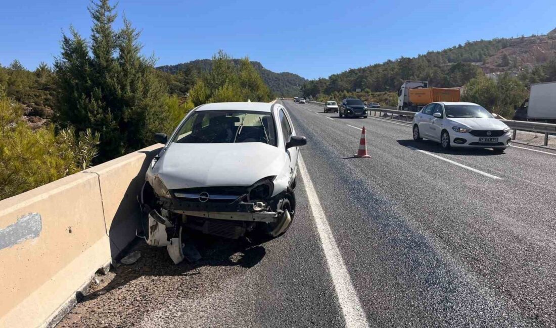 Muğla’nın Milas ilçesi Boğa