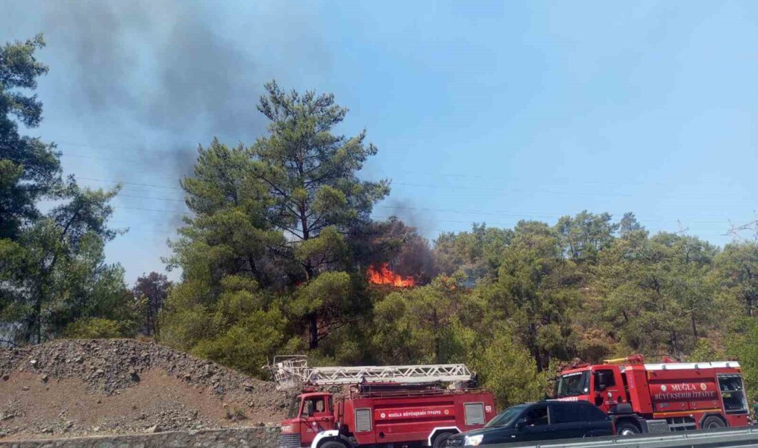 Muğla’nın Köyceğiz ilçesinde karayolu