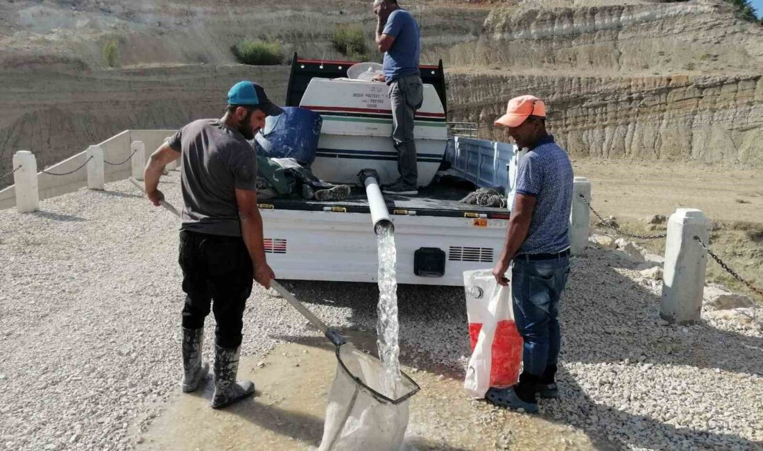 Kuruyan göldeki balıklar balçığın içerisinden kurtarıldı