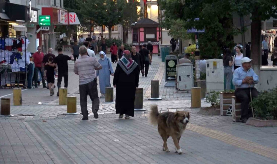 Bankacılık Düzenleme ve Denetleme