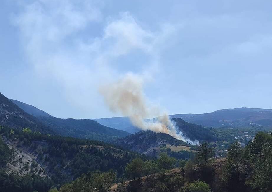 KÜTAHYA'DA ORMAN YANGINI