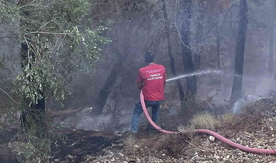 Muğla’nın Milas ilçesi Sekköy