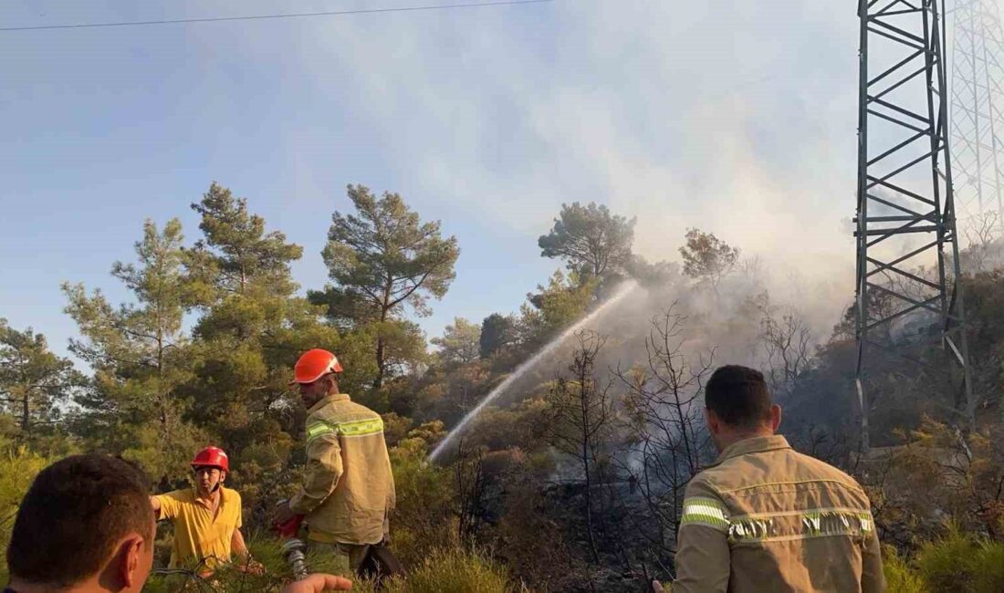 Muğla’nın Milas ilçesinde zirai