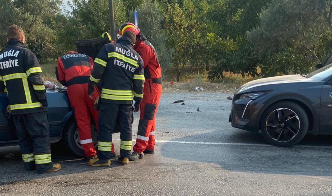 Muğla-Denizli karayolunda meydana gelen