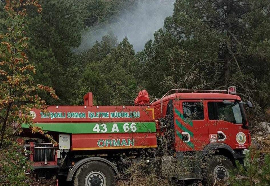 KÜTAHYA'DA ORMANLIK ALANDA YILDIRIM