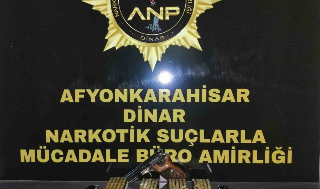 Afyonkarahisar’da ormanlık alanlar birlikte