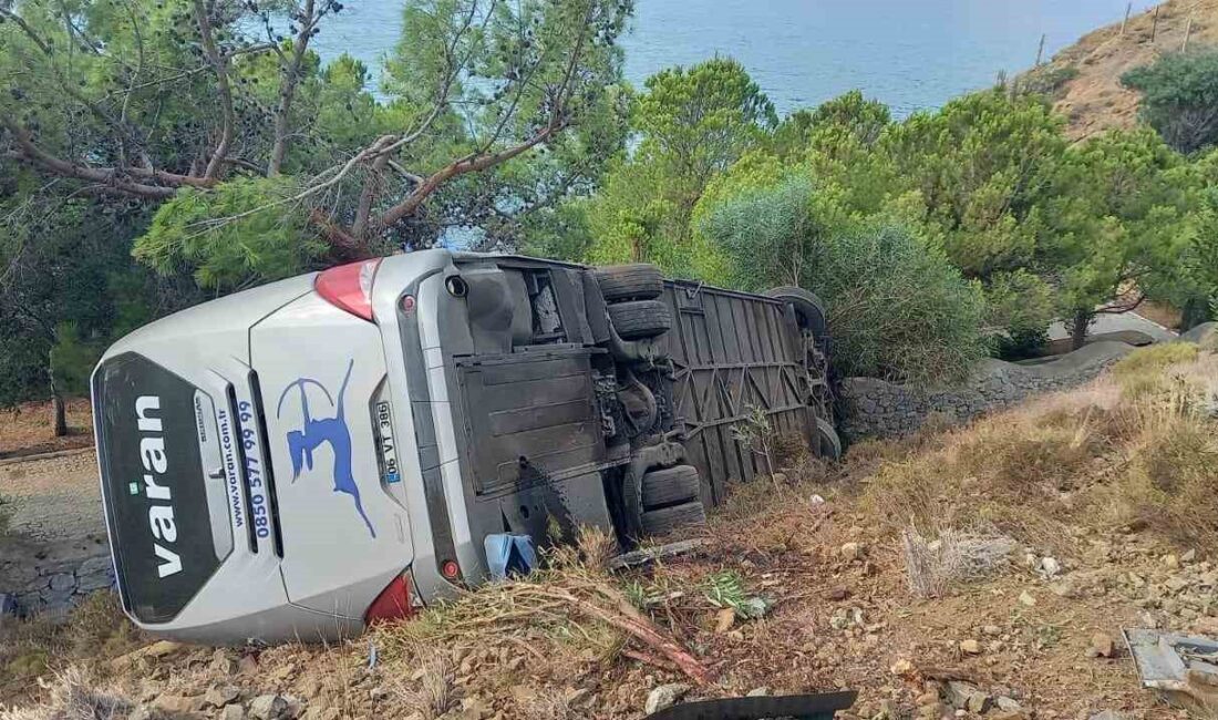 Muğla’nın Datça ilçesinde Varan