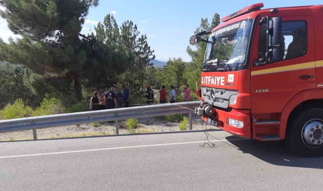 Denizli’nin Acıpayam ilçesinde sürücüsünün