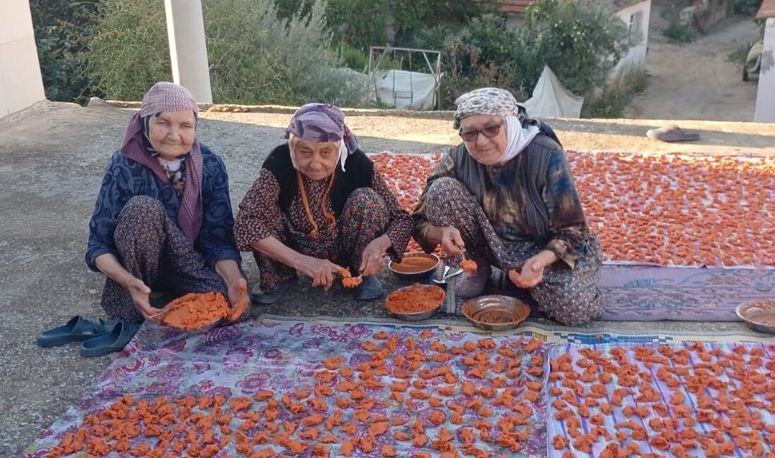 Manisa'nın Sarıgöl ilçesine bağlı