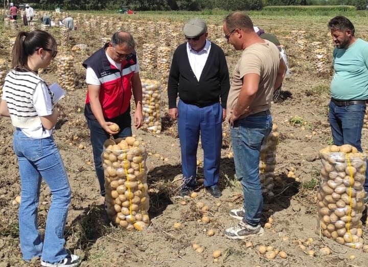 ALTINTAŞ’TA PATATES EKİLİŞ VE