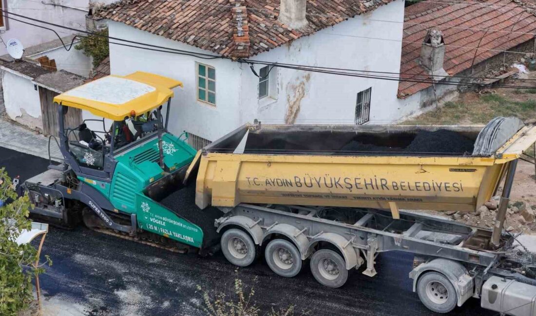 Aydın Büyükşehir Belediyesi, kent