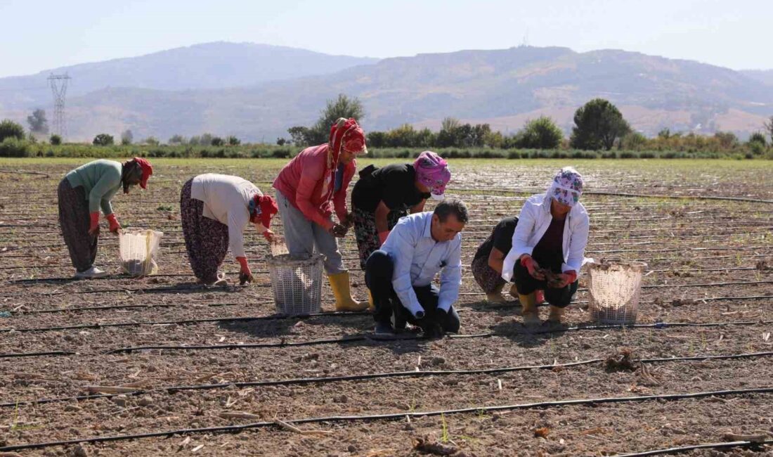 EFELER BELEDİYE BAŞKANI ANIL