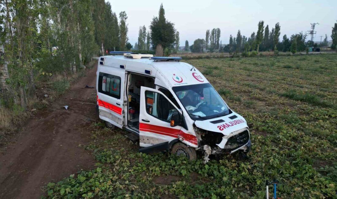 Afyonkarahisar'da otomobille çarpışan ambulansta