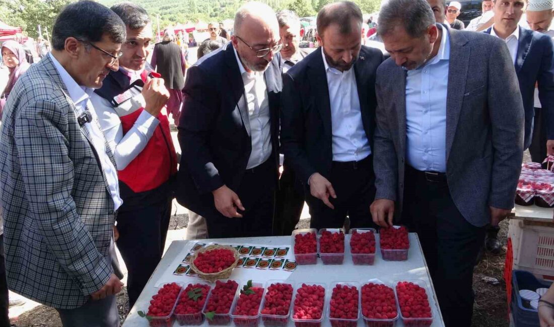 Kütahya'da düzenlenen 'Ahududu Şenliği'