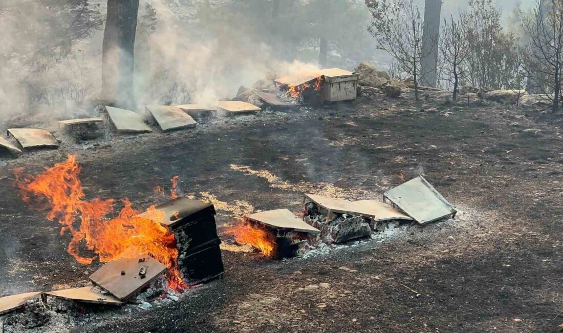 Muğla Büyükşehir Belediyesi Menteşe