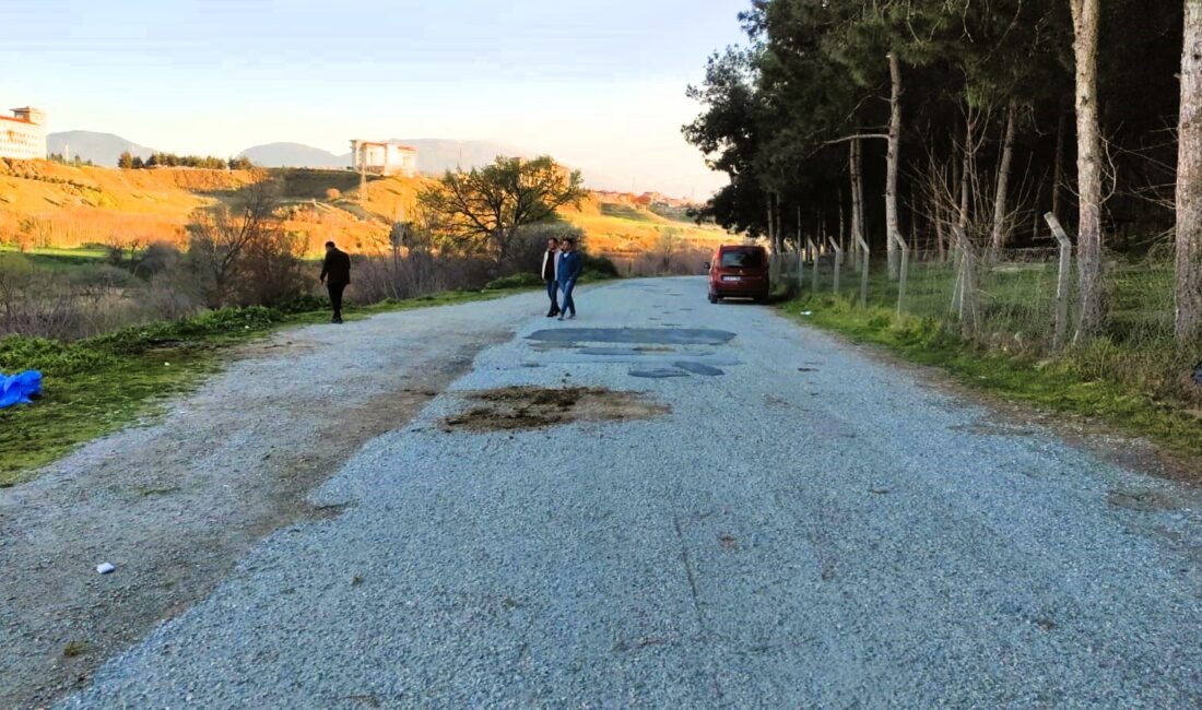 Denizli’de kıskançlık krizine giren