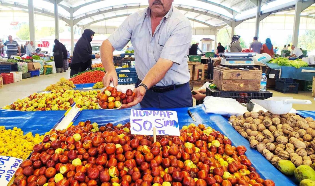 SİMAV HÜNNAPI PAZARIN GÖZDE