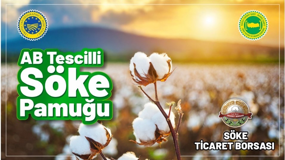 SÖKE PAMUĞU TESCİLLENDİ