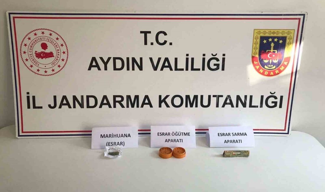 AYDIN'IN GERMENCİK VE KUŞADASI