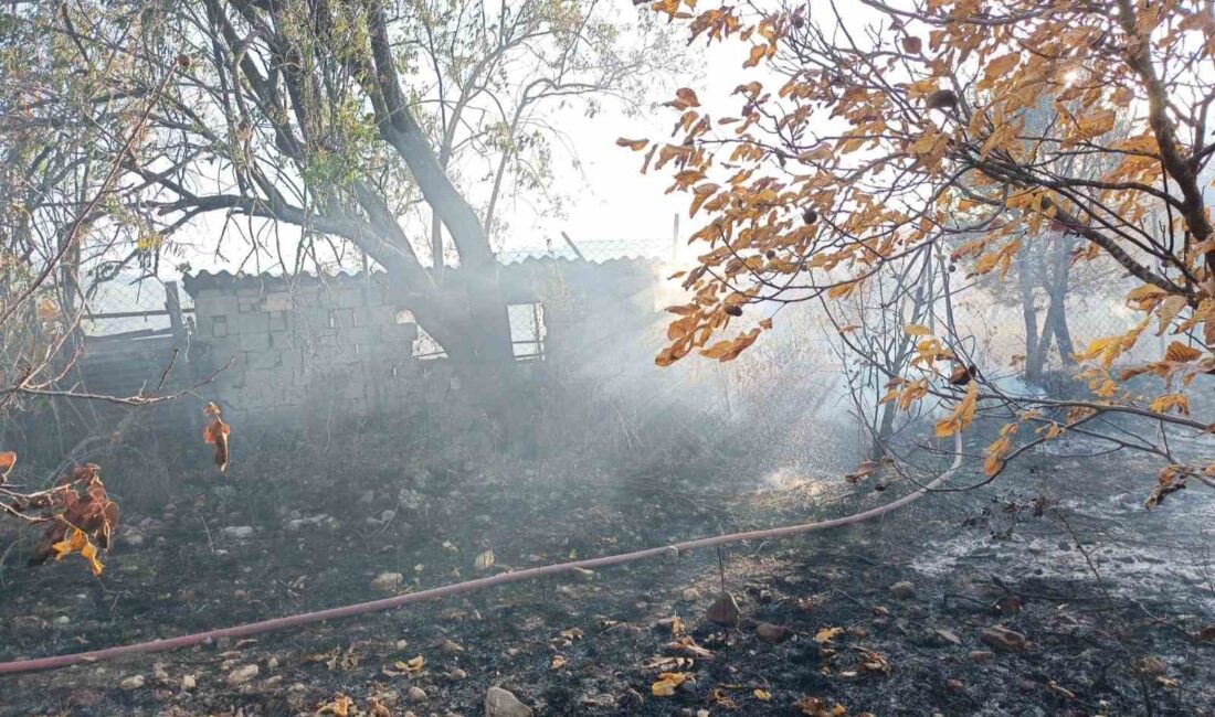 MENTEŞE’DE BAHÇEDE ÇIKAN YANGIN