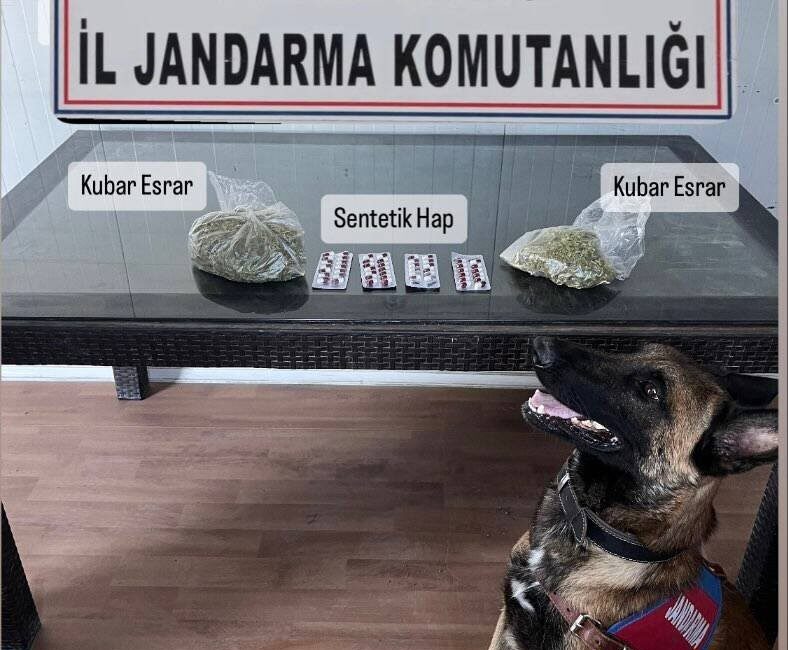 Aydın’ın Söke ilçesinde jandarma