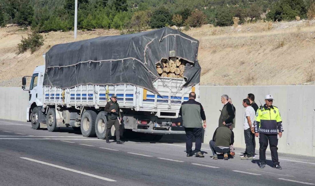 ORMAN MÜDÜRLÜĞÜ, ORMAN SUÇLARIYLA