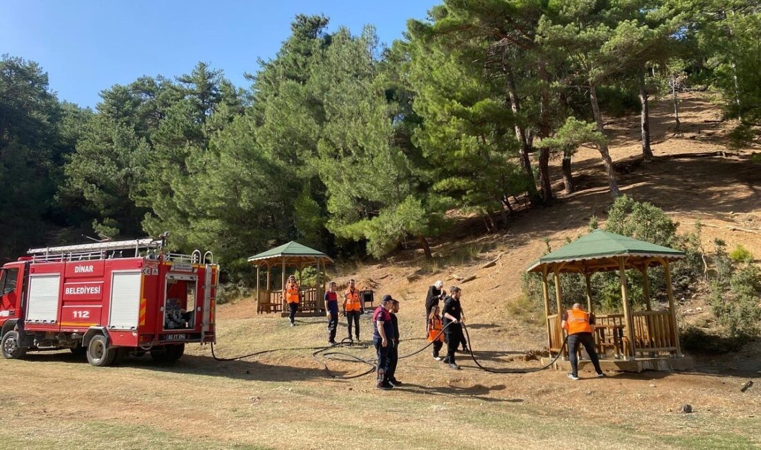 AFYONKARAHİSAR’IN DİNAR İLÇESİNDEKİ ORMANLIK