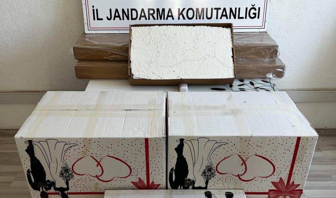 MANİSA'NIN KULA İLÇESİNDE JANDARMA