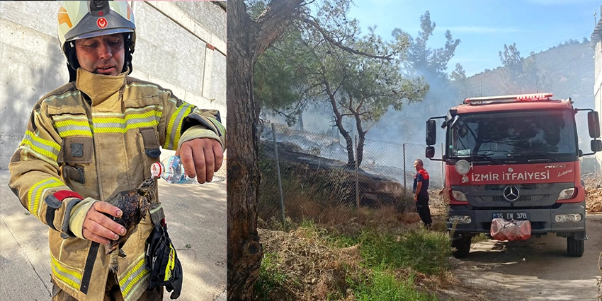 İzmir Büyükşehir Belediyesi’ne bağlı