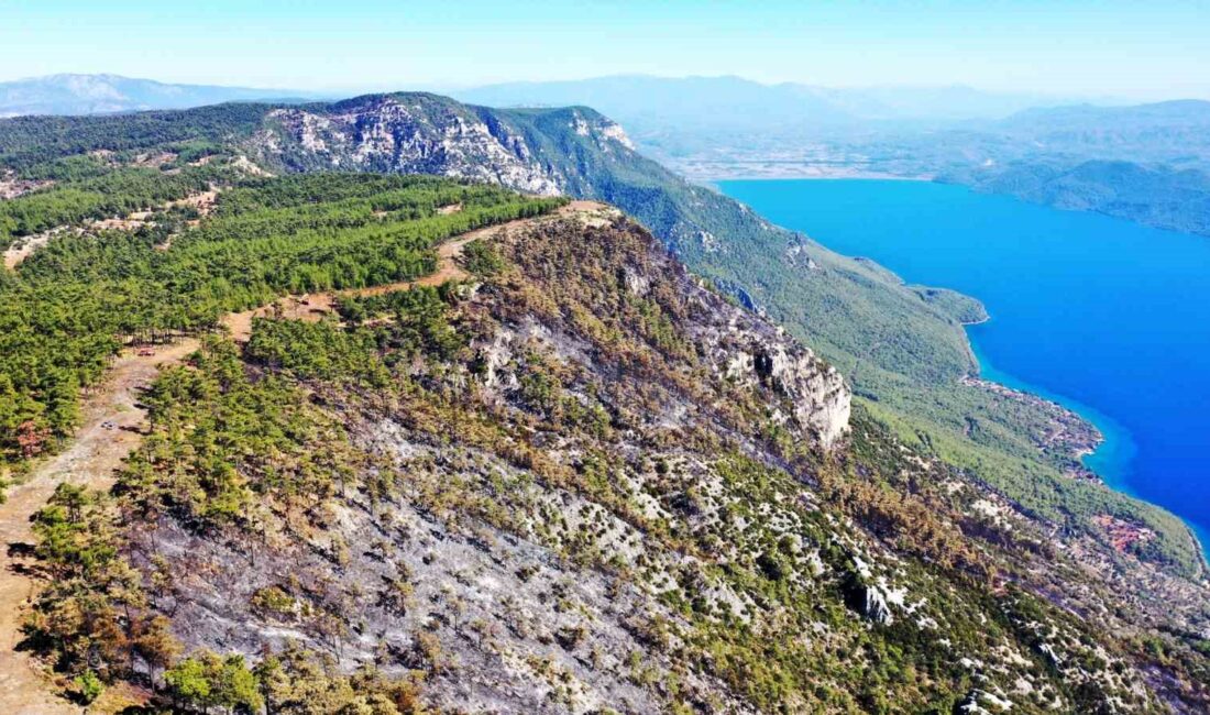 ALEVLERİN ÖNÜNÜ KESMEK İÇİN