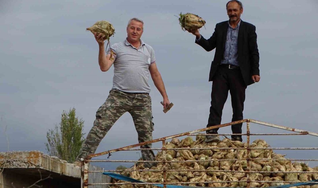 KÜTAHYA'NIN HİSARCIK İLÇESİNDE GEÇEN