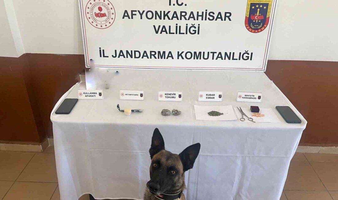 AFYONKARAHİSAR'DA JANDARMA EKİPLERİ YAPTIKLARI