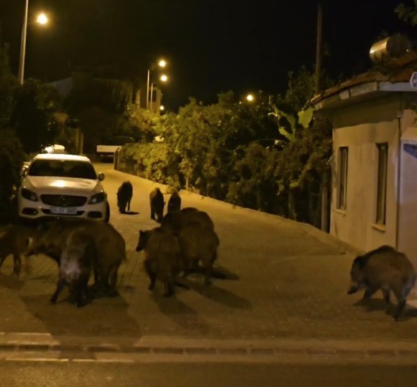 MUĞLA'NIN MARMARİS İLÇESİNDE KİMSEYE