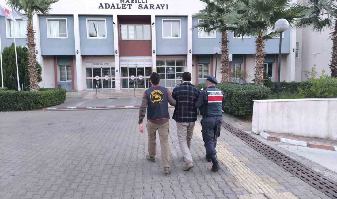 AYDIN'DA JANDARMA EKİPLERİ TARAFINDAN